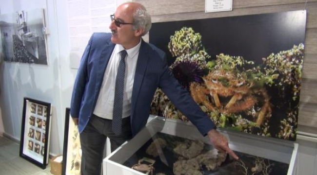 Kesin olarak müsilajla karşılaşacağız ama...