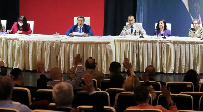 Konak Belediyesi, sokak hayvanları için komisyon kurdu