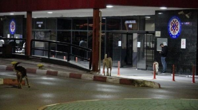 Kucağında çocuğu olan kadını, bir kadın bıçakladı