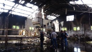 'Kuşum kaçtı' diyerek fabrikayı yaktı