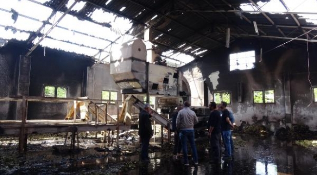 'Kuşum kaçtı' diyerek fabrikayı yaktı