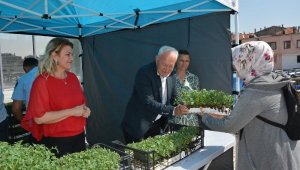 Lapseki Belediyesi vatandaşlara domates fidesi dağıttı