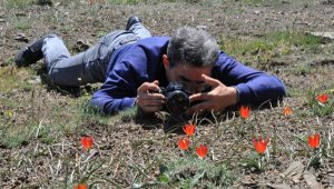 Manisa lalesini koparana 109 bin lira para cezası