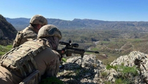 Mehmetçik adım adım peşlerinde! Suriye'de 12 terörist öldürüldü