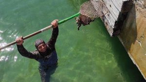 Mendirek altına sıkışan kediyi dalgıçlar kurtardı