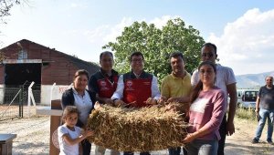 Muğla'da 70 kadın üreticiye saman balyası dağıtıldı