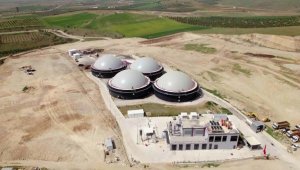 Organik gübre Manisa'nın tarım topraklarına değer katıyor