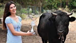 Sedef'in boğa sevdası, kariyerinin önüne geçti