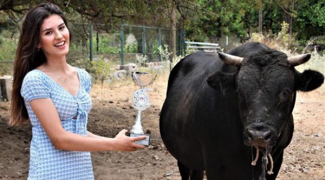 Sedef'in boğa sevdası, kariyerinin önüne geçti