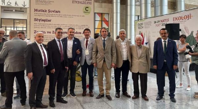 Sezonun ilk yarısında zeytinyağı ihracatı yüzde 42 arttı