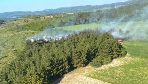 Soma'daki orman yangınında 1 hektar alan tahrip oldu