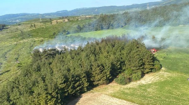 Soma'daki orman yangınında 1 hektar alan tahrip oldu