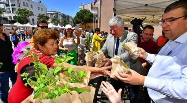 Tohum Takas Şenliği'nde 300 bin fide dağıtıldı