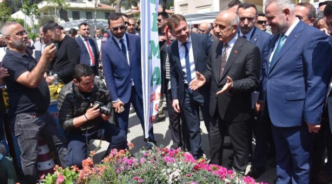 Türkiye'de 1,7 milyar çiçek üretiliyor