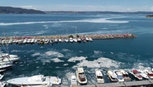 Ultrasonik ses frekansıyla müsilaj mücadelesi