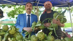 Uluslararası Urla Enginar Festivali başladı