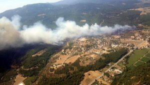 Vali açıkladı! Bu ormanlara girmek yasak