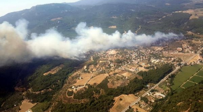 Vali açıkladı! Bu ormanlara girmek yasak