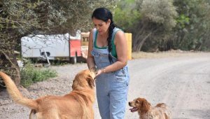 Yangından kurtarılan hayvanlar 1 yıldır tedavi