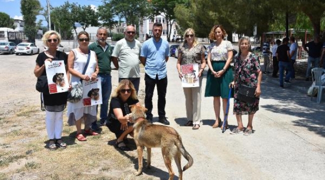 3 kişinin öldürüldüğü sokakta hayvanları beslediler