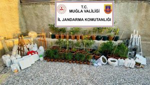 ABD'li, villada 5 kilo 450 gram esrarla yakalandı