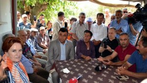 Akşener: Marmara Gölü'nün kurtarılması için girişimlerde bulunacağız