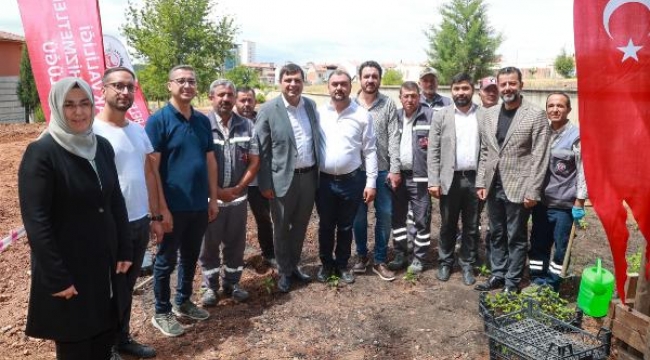 Ata tohumlarından elde edilen sebze fideleri huzurevi dikildi