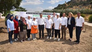 Atık kahve telvesinden gübreyle kara mürver yetiştirilecek