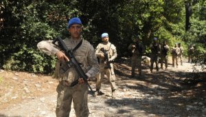 Aydın ormanlarını, PÖH ve komanda koruyacak