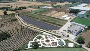 Balıkesir, Aromaterapi Festivali'ne ev sahipliği yapacak