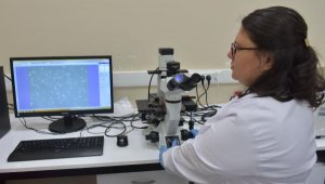 Borla kanseri yenme projesinde önemli gelişme