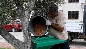 Can dostların mamaları Kuşadası Belediyesi'nden