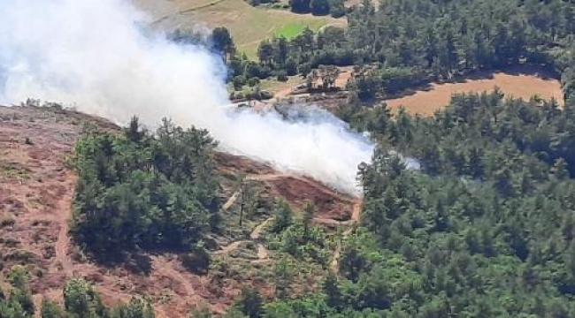 Çanakkale'de yangın paniği