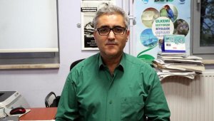 Caretta carettalar için naylon poşet uyarısı