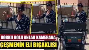 Çeşme'nin eli bıçaklısı! Korku yarattı