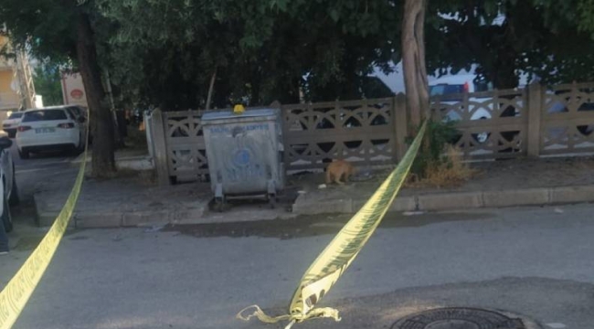 Çöp konteynerinde bebek cesedi bulundu
