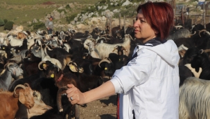 Davet var! Karaburun'da Kırkım Şenliği 26 Haziran'da başlıyor