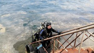 Deniz sarardı, uzmanı sebebini açıkladı