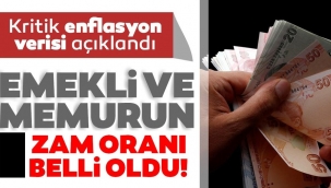 Enflasyona göre memur ve emekli zamları!