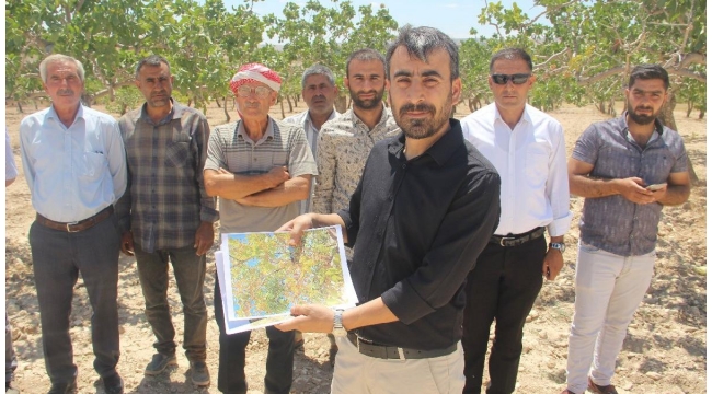 Fıstık fiyatları baklavacı ve çiftçileri karşı karşıya getirdi