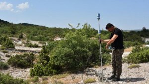 Fosil orman turizme kazandırılacak