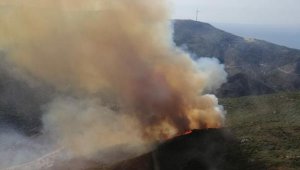 İzmir'de ikinci orman yangını: Bu kez Karaburun