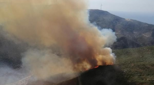 İzmir'de ikinci orman yangını: Bu kez Karaburun