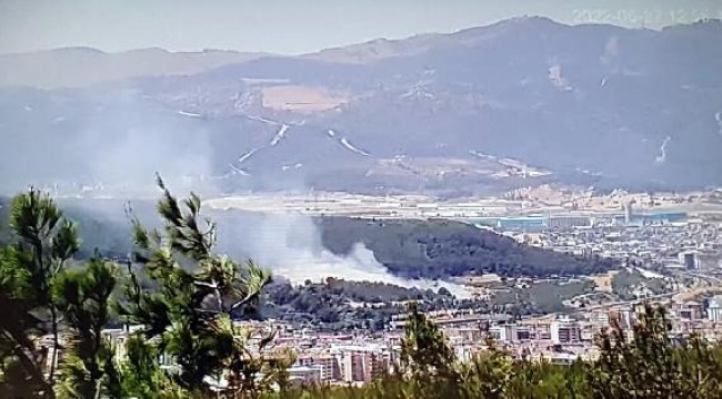 İzmir'de makilik yangını