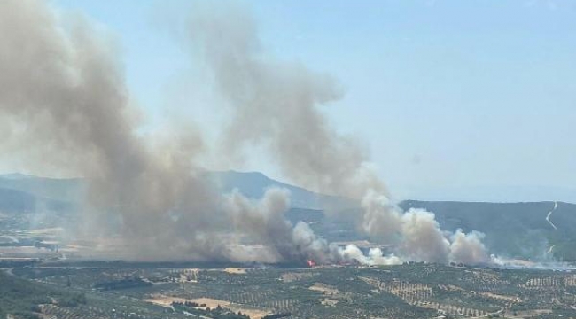 İzmir'de orman yangını