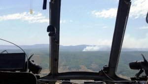 İzmir'de orman yangını