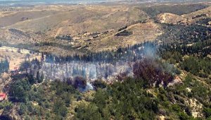 İzmir'de orman yangını