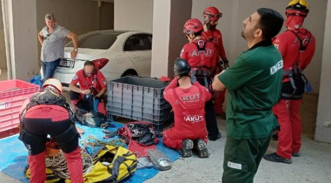 Konak'ta apartmanın üzerine devrilen ağaç kaldırıldı