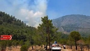 Köyceğiz'deki orman yangını kontrol altına alındı