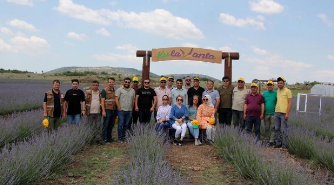 Kula'daki 60 dönümlük lavanta bahçesi tanıtıldı